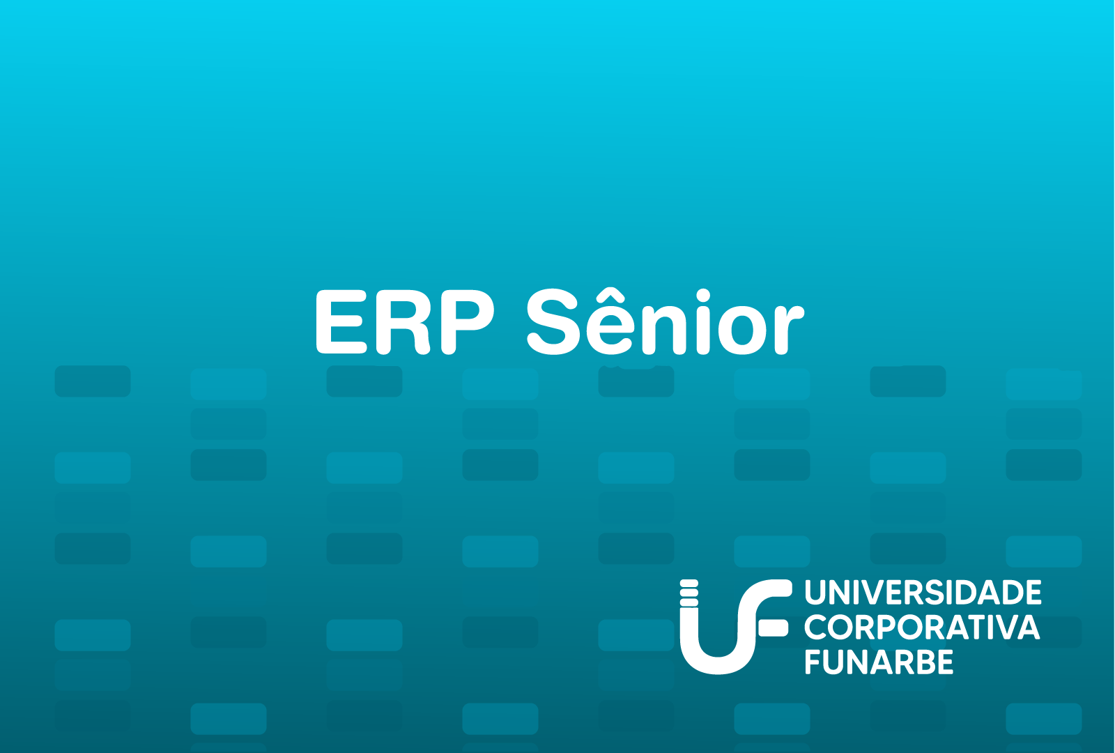 ERP Senior