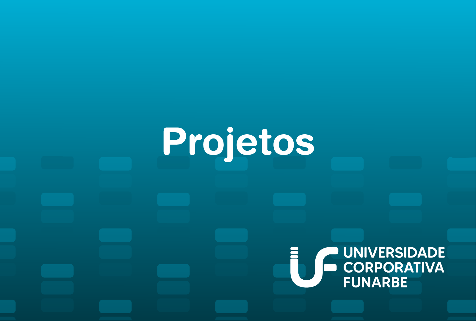 Por dentro da aba de Projetos