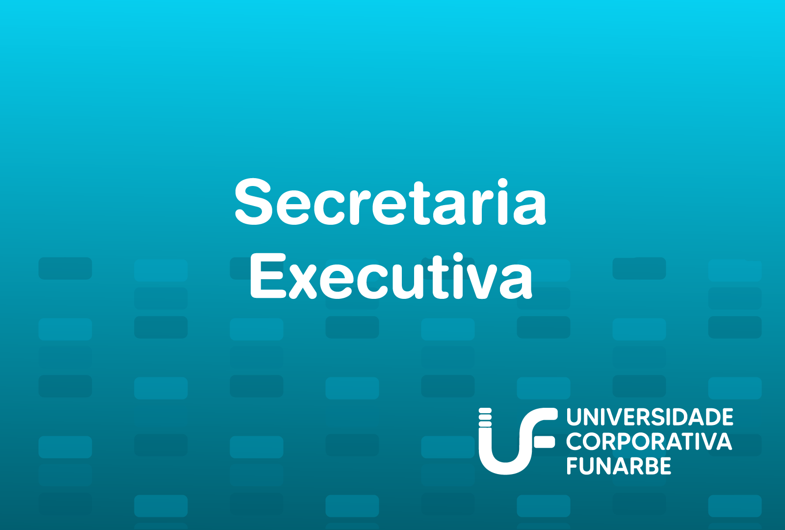 Secretaria Executiva